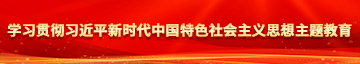 操B视频黄片学习贯彻习近平新时代中国特色社会主义思想主题教育